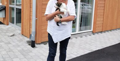 Distriktsveterinärerna Bergslagen veterinär