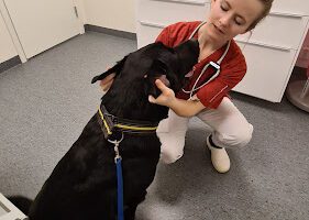 Distriktsveterinärerna Kristianstad veterinär
