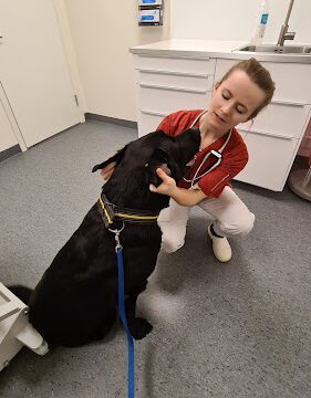 Distriktsveterinärerna Kristianstad veterinär