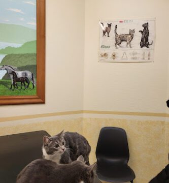 Djurdoktorn i Årsta veterinär