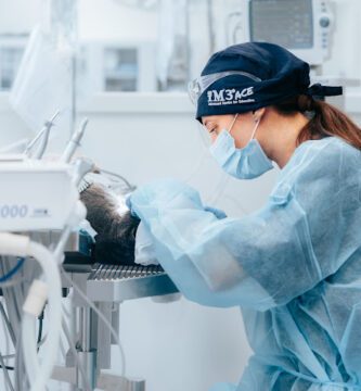 Djurkliniken Våra vänner Umeå veterinär