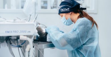 Djurkliniken Våra vänner Umeå veterinär