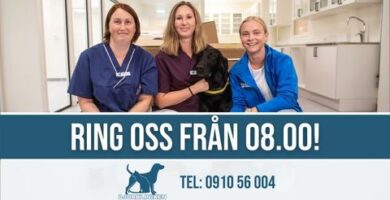 Djurkliniken i Skellefteå Anderstorg veterinär