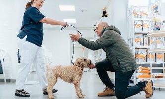 Djurkliniken våra vänner Bromma veterinär