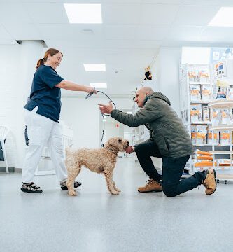 Djurkliniken våra vänner Bromma veterinär