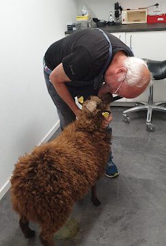 Ekbergets Veterinärpraktik AB veterinär