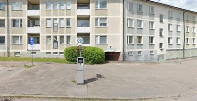 Er Veterinär Erik Ehnvall veterinär