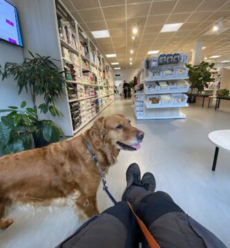 Evidensia Animal Hospital Gothenburg veterinär