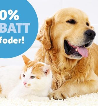 Evidensia Animal Hospital Malmo veterinär