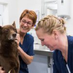 Evidensia Djurkliniken Kållered veterinär