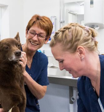 Evidensia Djurkliniken Kållered veterinär