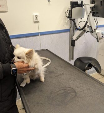 Evidensia Djurkliniken Ystad veterinär