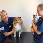 Evidensia Djursjukhuset Västerort veterinär