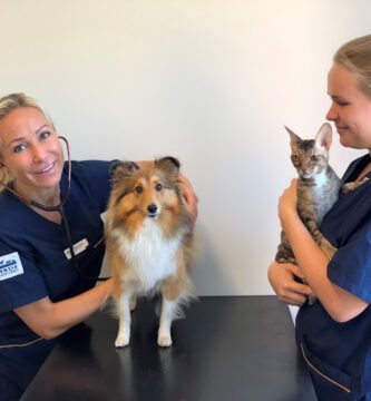 Evidensia Djursjukhuset Västerort veterinär