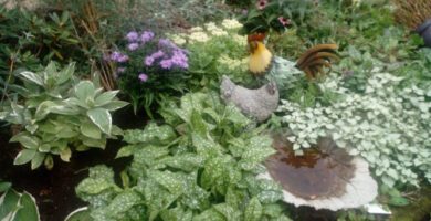 Gistad Veterinärpraktik AB veterinär