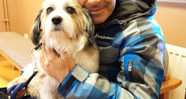 Gylle small animal clinic veterinär