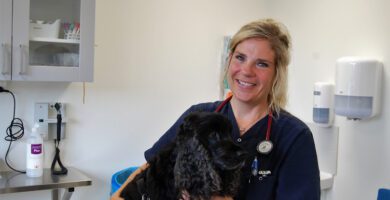 Hallands Djursjukhus Varberg veterinär