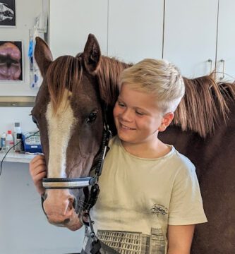 Hästkliniken i Norrköping AB veterinär