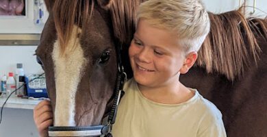 Hästkliniken i Norrköping AB veterinär