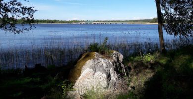 Hästsjukhuset Solvalla HB veterinär