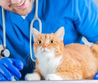 He-Vet AB veterinär