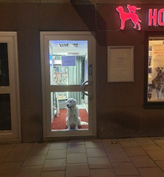 Hornstulls Hund & Katt veterinär