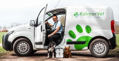 Kalmarvet veterinär