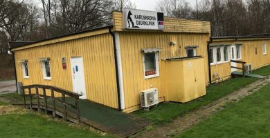 Karlskrona Djurklinik AB veterinär