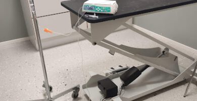 Kronobäcks Veterinärklinik veterinär