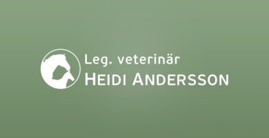 Leg. Veterinary Heidi Andersson veterinär