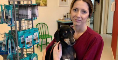 Mantorps Smådjursklinik AB veterinär