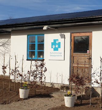 Nyhamnsläge Smådjursklinik veterinär