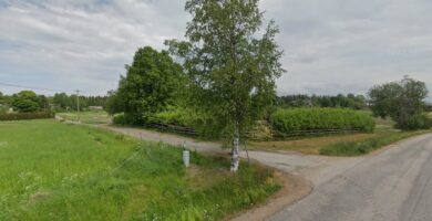 Ockelbo Veterinärpraktik veterinär