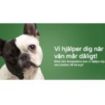 Rembacken Veterinary Services AB veterinär