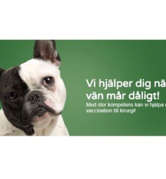 Rembacken Veterinary Services AB veterinär
