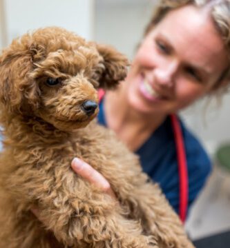 Roslagstulls Veterinärklinik Exotic Evidensia veterinär