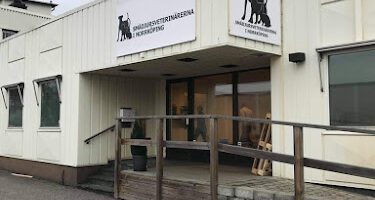 Smådjursveterinärerna i Norrköping veterinär