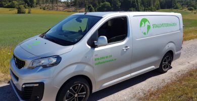 Stallveterinären Ted Dacksten AB veterinär