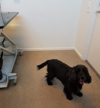 Stångebro Djurklinik veterinär