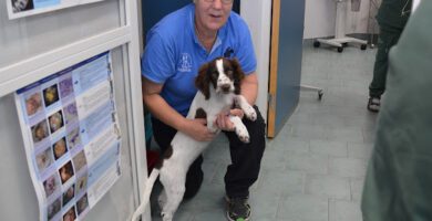 Svedala Veterinärpraktik veterinär