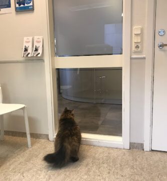 Täby Djursjukhus Evidensia veterinär