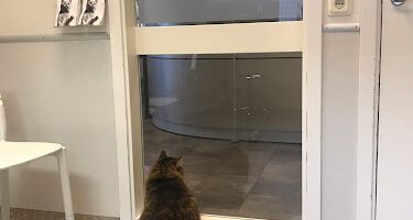 Täby Djursjukhus Evidensia veterinär