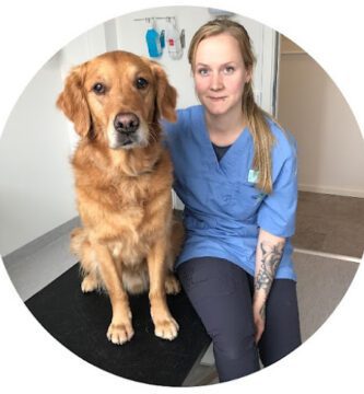 Tassarna Animal Hospital veterinär