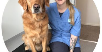 Tassarna Animal Hospital veterinär