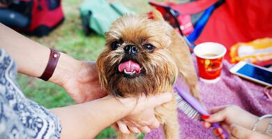 Tuve Djurklinik AB veterinär