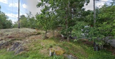 Värmdö Veterinärpraktik veterinär