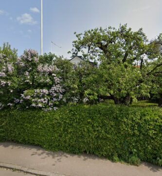 Västerås Smådjursmottagning veterinär