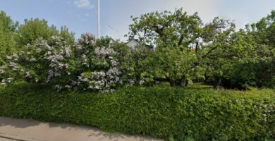 Västerås Smådjursmottagning veterinär