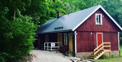 Veterinär Anna Wendel - Prostens Veterinärmottagning veterinär