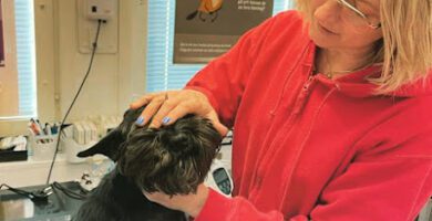 Veterinär Garland veterinär